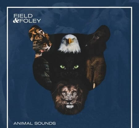 Field and Foley Animal Sounds WAV